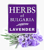 Anti Cellulite Soap Herbs of Bulgaria Lavender